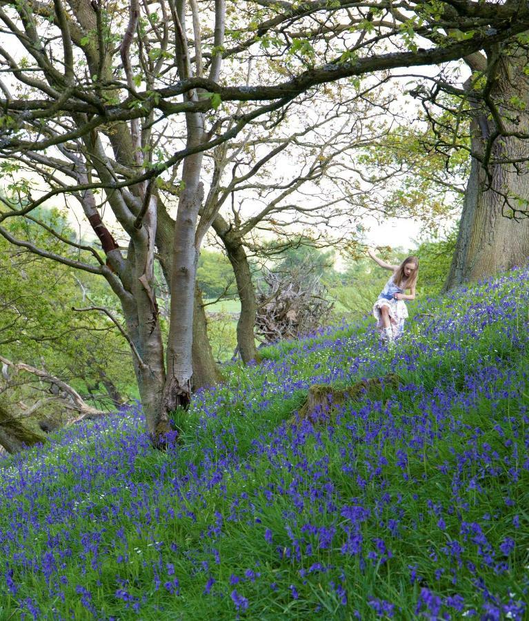 Bluebells Cottage Chop Gate エクステリア 写真
