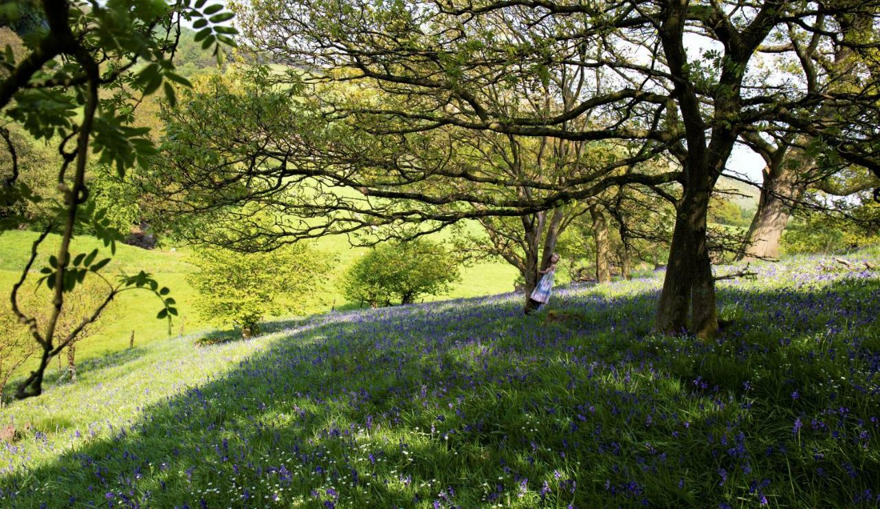 Bluebells Cottage Chop Gate エクステリア 写真